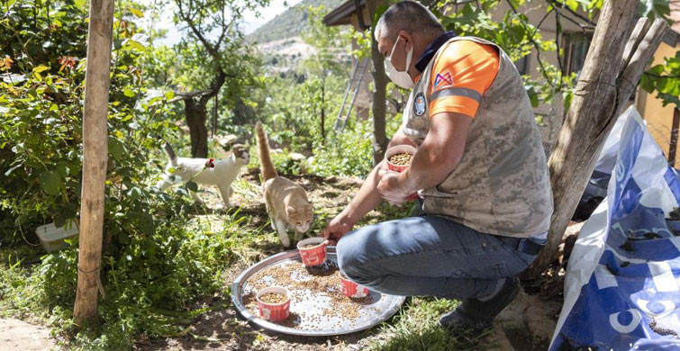 Mersin'de Sokak Hayvanlarına 7 Ton Mama Dağıtıldı