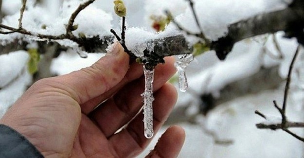 Meteoroloji'den Antalya İçin Zirai Don Uyarısı