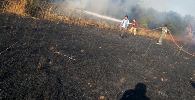 Muğla Datça'da Büyük Yangın: 19 Dönüm Arazi Kül Oldu