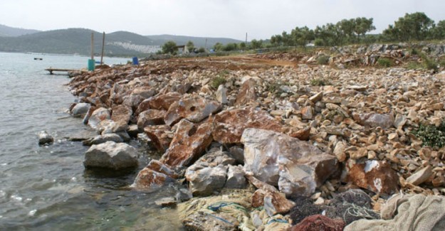 Muğla'da Denize Moloz Döken Kişi Yakalandı