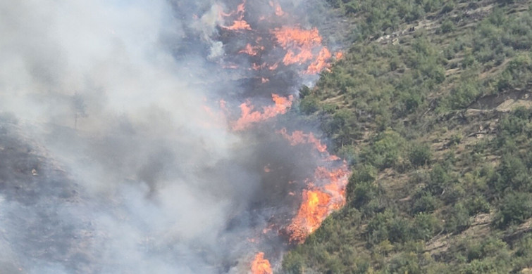 Muğla’da korkutan orman yangını: Olay yerine birçok ekip sevk edildi