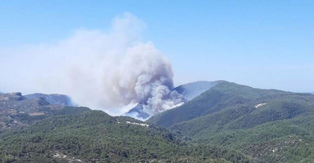 Muğla'da Korkutan Orman Yangını