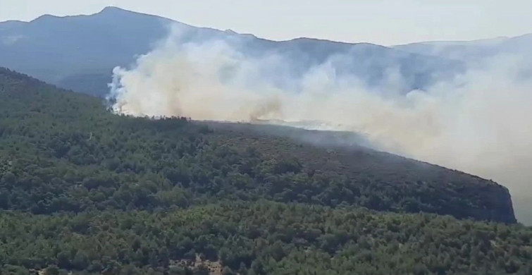 Muğla’da orman yangını: Hava ve karadan yoğun müdahale ediliyor