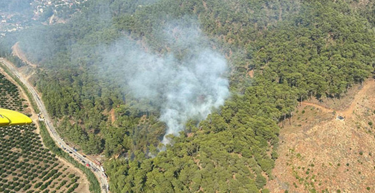 Muğla’da paniğe neden olan orman yangını: Ekipler kısa sürede kontrol altına aldı