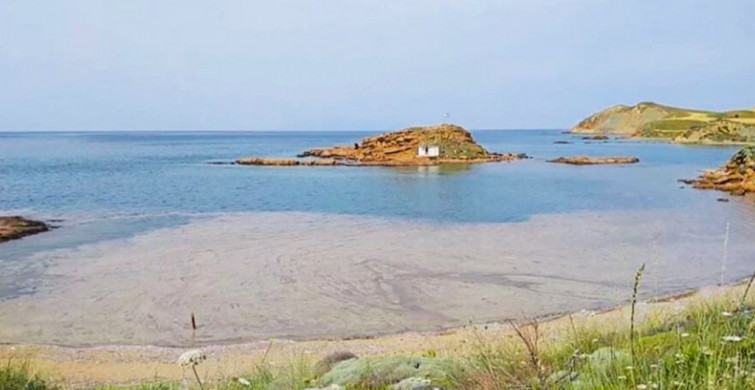 Müsilaj Yunan Adalarına Kadar Ulaştı! Laboratuvar Sonuçları Bekleniyor