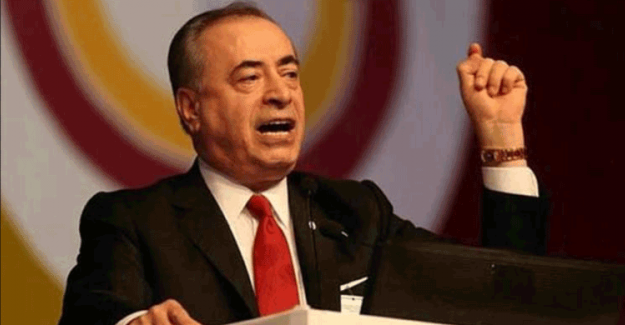 Mustafa Cengiz: "Ali Koç Federasyon Başkanı Olsun"