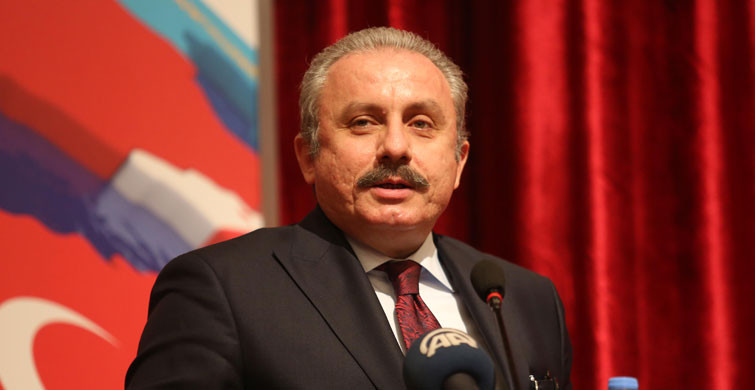 Mustafa Şentop: Yeni Anayasa Fikri Heyecan Uyandırıyor