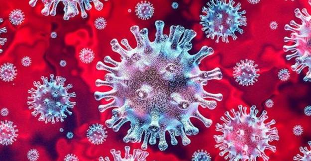 Mutasyona Uğrayan Koronavirüsün Yeni Adı Belli Oldu