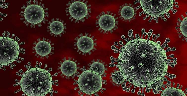 Mutasyonlu Virüs Hangi İllerde Görüldü?