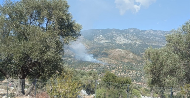 Muğla'da Yangın: 2 Hektar Alan Zarar Gördü