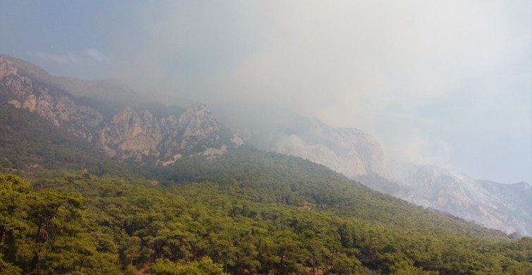 Muğla'daki Orman Yangınlarına Müdahale Sürekliği