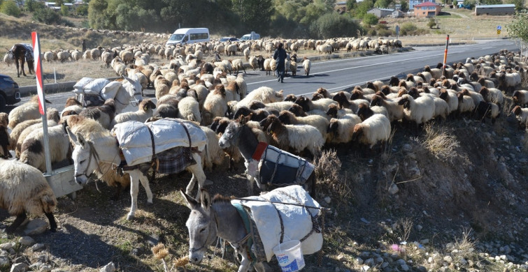 Muş'ta Göçerler Kış İçin Dönüş Yolculuğuna Çıktı