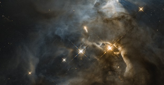 NASA Yarasa Görüntülü Bir Gölge Tespit Etti