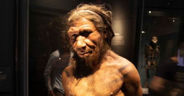 Neandertallerden Gelen Gen Kovid-19’a Karşı Riski Artırıyor