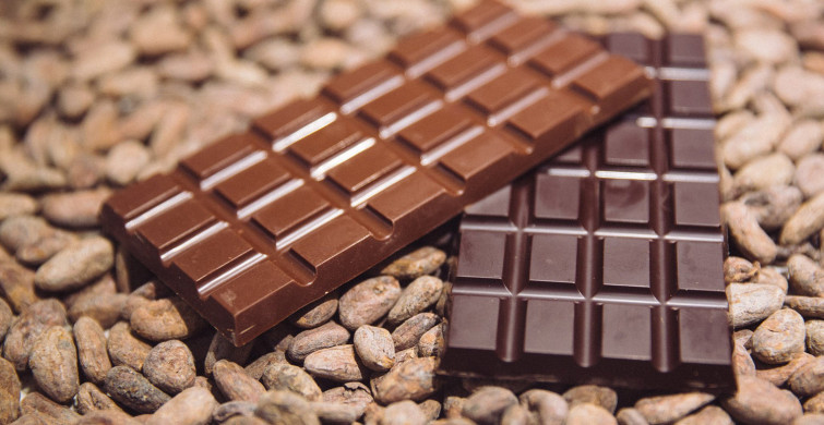 Neden Canımız Çikolata Çeker?