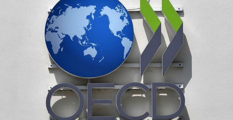 OECD Türkiye'nin Büyüme Tahminini Yükseltti