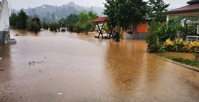 Ordu'da şiddetli yağış hayatı durma noktasına getirdi: Birçok ev sular altına kaldı