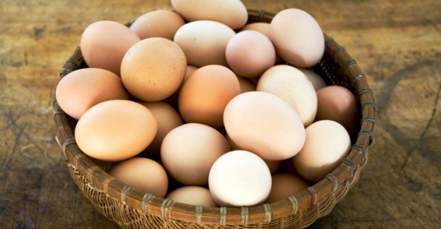 Organik Yumurta Nasıl Anlaşılır?