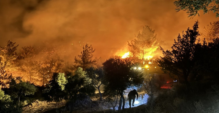 Orman Genel Müdürlüğü’nden 12 ile uyarı: 10 gün boyunca orman yangını riski var