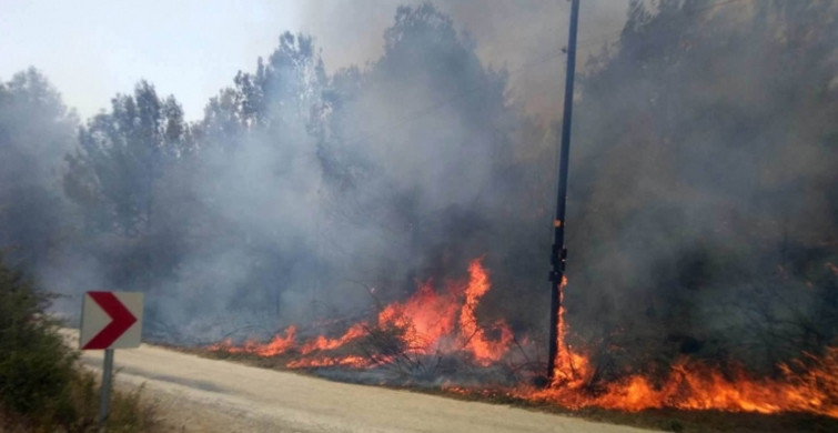 Ormanlarımız Yanıyor! Antalya'nın Ardından Mersin Kırıkkale ve Adana'da Orman Yangınları Çıktı!