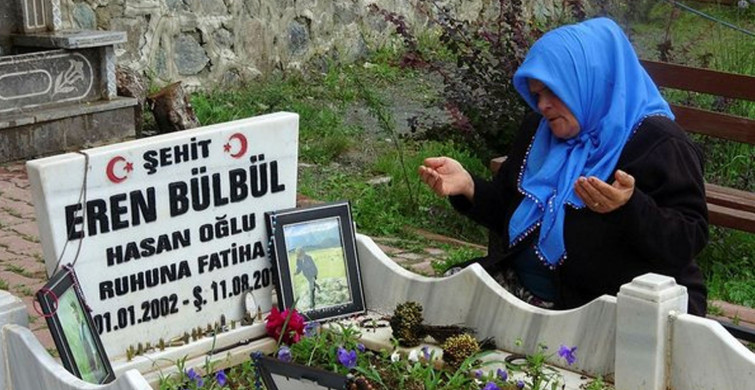 Parka Eren Bülbül isminin verilmesine karşı çıkan CHP ve HDP'lilere tepkiler sürüyor!