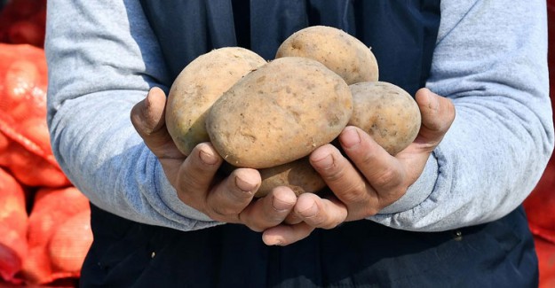 Patates İthalatında Sıfır Gümrük Vergisi Uygulaması 31 Mayıs'a Kadar Uzatıldı