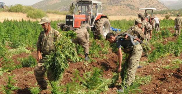 PKK, Kerkük'te Gençlere Uyuşturucu Satıyor