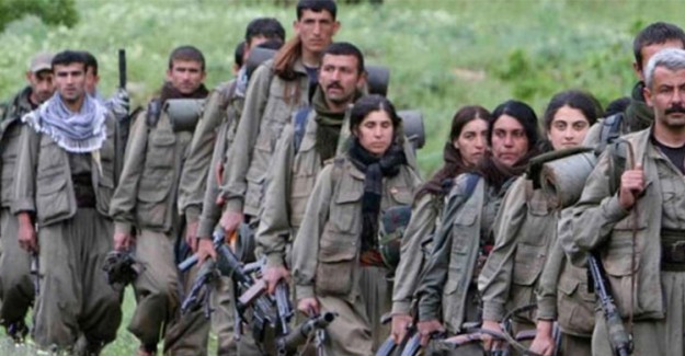 PKK Tarafından Kaçırılan Kız Çocukları Jandarmaya Sığındı