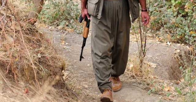 PKK'nın En Önemli Gelir Kalemi 'Ucuz Olsun' Zihniyeti