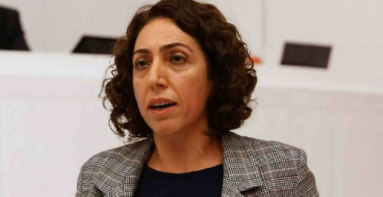 Polise yumruk atan Salihe Aydeniz kimdir? Salihe Aydeniz hangi parti vekili?