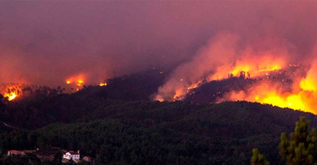 Portekiz'de Orman Yangını