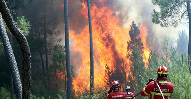 Portekiz'deki Orman Yangınları Kontrol Altına Alındı
