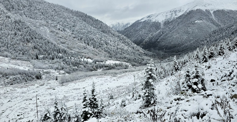 Rize'de Yaylacıların Geri Dönüş Yolculuğu Devam Ediyor