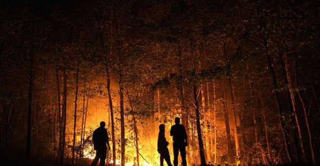 Rusya'daki Yangında 3 Milyon Hektardan Fazla Orman Kül Oldu