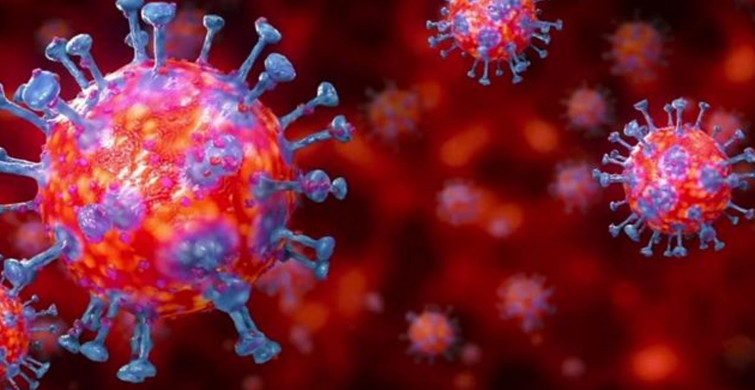 Sağlık Bakanlığı 29 Ocak Koronavirüs Vaka Tablosunu Açıkladı!