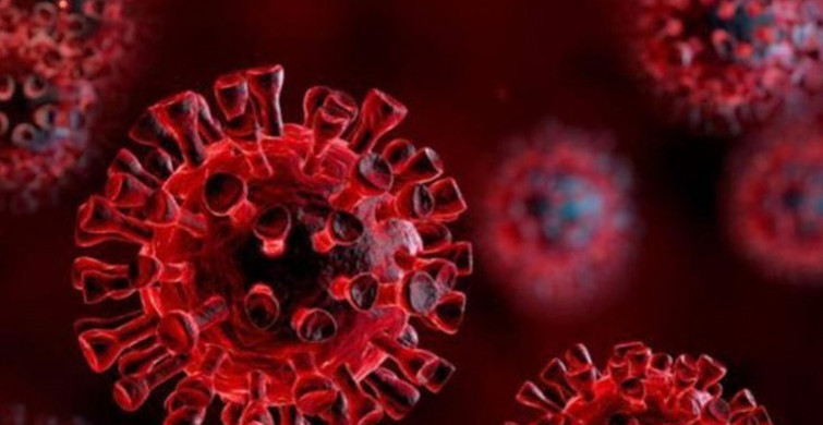 Sağlık Bakanlığı Duyurdu: Koronavirüs Salgınında Günlük Vaka Rekoru Kırıldı!
