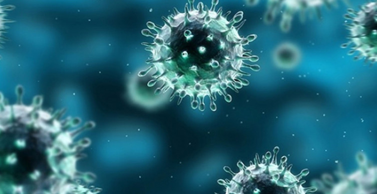 Sağlık Bakanlığı Tarafından 19 Şubat Koronavirüs Vaka Tablosu Açıklandı!