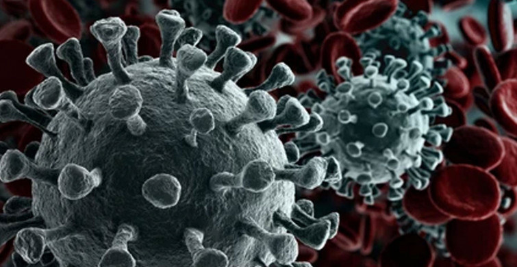 Sağlık Bakanlığı Tarafından 23 Şubat Koronavirüs Vaka Tablosu Açıklandı!
