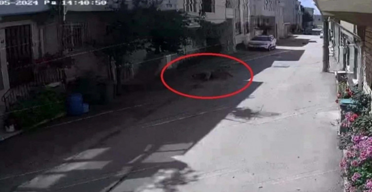 Sahipsiz köpeklerin saldırısı: Bursa'da 3 çocuktan 2'si yaralandı, o anlar güvenlik kamerasında!