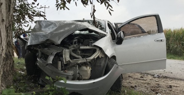 Sakarya'da Otomobil Ağaca Çarptı: 3'ü Ağır 5 Yaralı