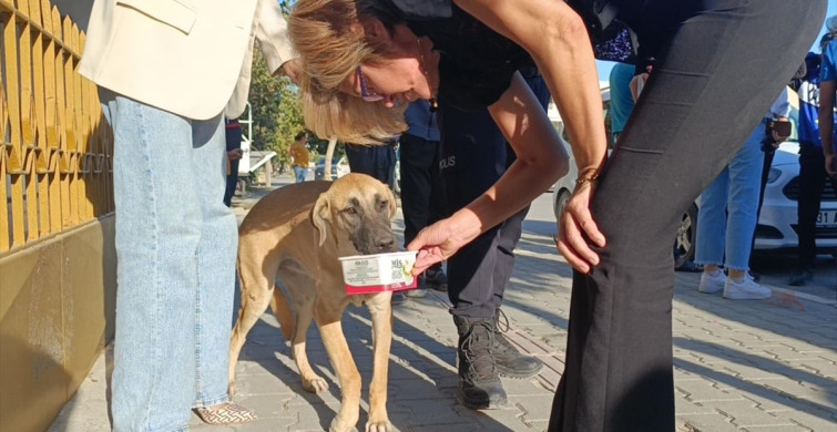 Samandağ'da Motosiklet Devrildi: Sürücü Hastaneye Kaldırıldı