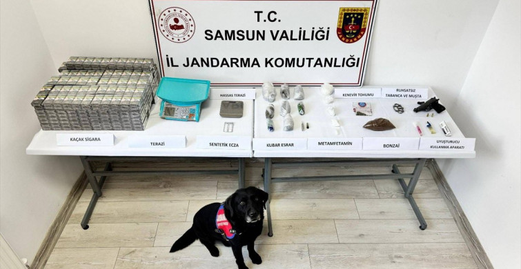 Samsun'da Narkotik Köpeği 'Tahra' Uyuşturucu Operasyonunda Başarılı