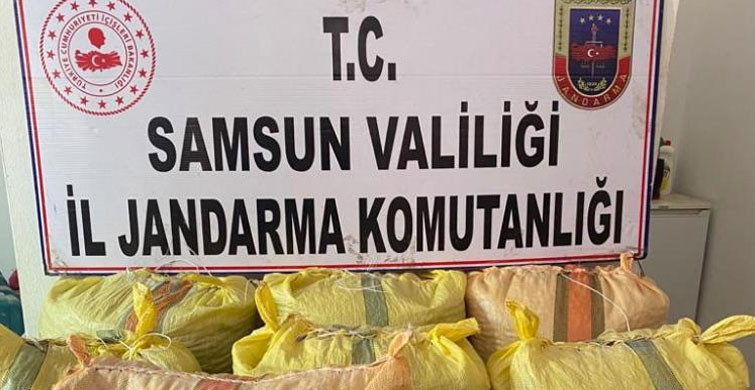 Samsun’da 700 Kilogram Fındık Çalan Şahıs Yakalandı