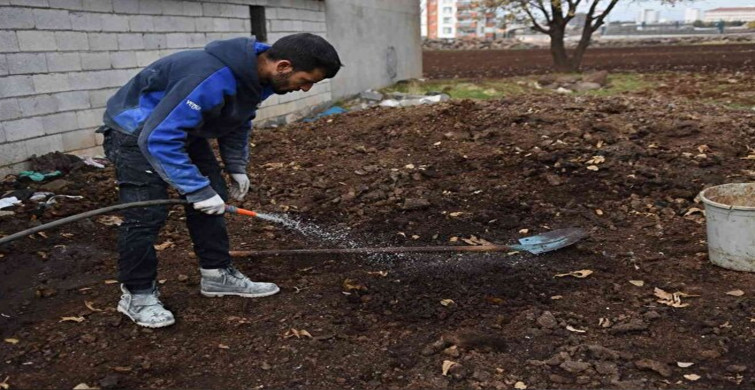 Şanlıurfa'da Genç Girişimci Solucanla Organik Gübre Üretiyor