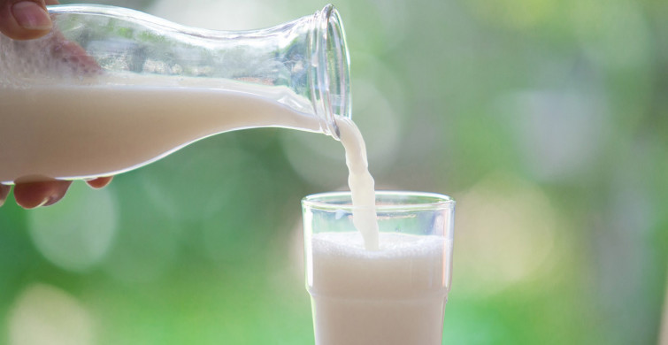 Sarımsak sütle içilir mi, sarımsaklı süt ne işe yarar, kaç gün içilmeli? Astıma karşı savaşan sarımsaklı sütün faydaları