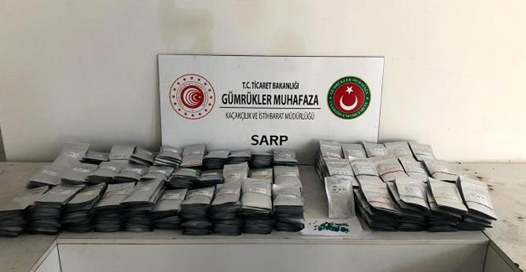 Sarp Sınır Kapısı’nda Kaçak Salatalık Tohumu Ele Geçirildi