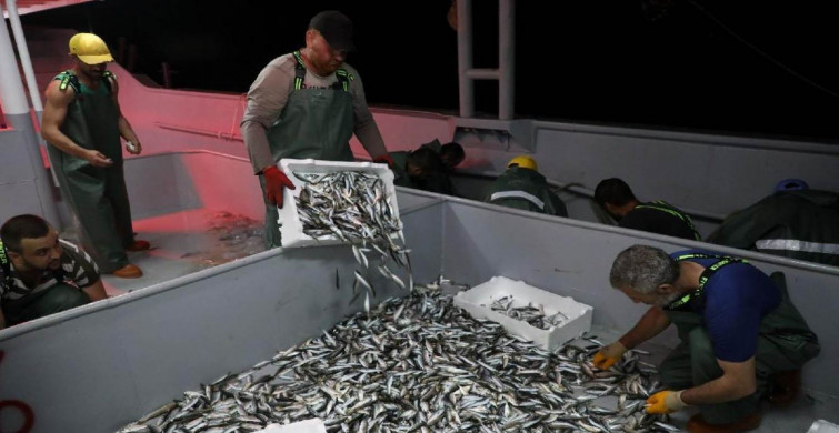 Sezon açıldı: Marmara Denizi’nde balık avlama denetimleri sıklaştı