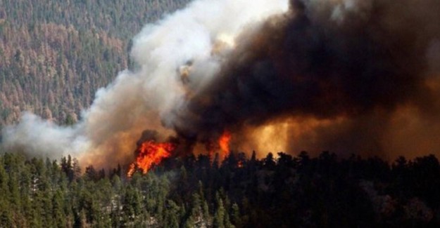 Sibirya'daki Yangında 3 Milyon Hektar Orman Küle Dönüştü