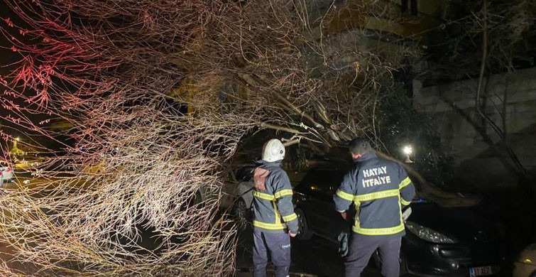 Şiddetli Fırtınayla Ağaçlar Araçların Üzerine Devrildi