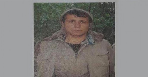 Siirt'te Etkisiz Hale Getirilen 5 Teröristten Biri Gri Listeden Çıktı